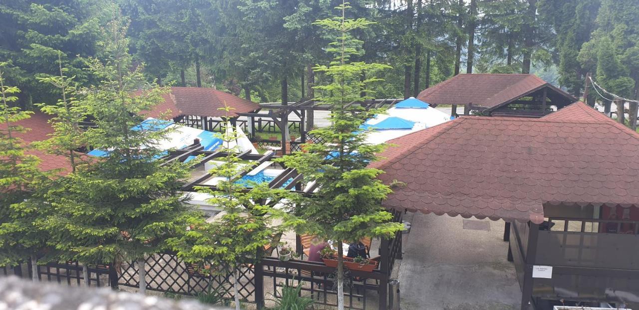 Hotel Bucegi Portile Regatului Пырыул-Рече Экстерьер фото