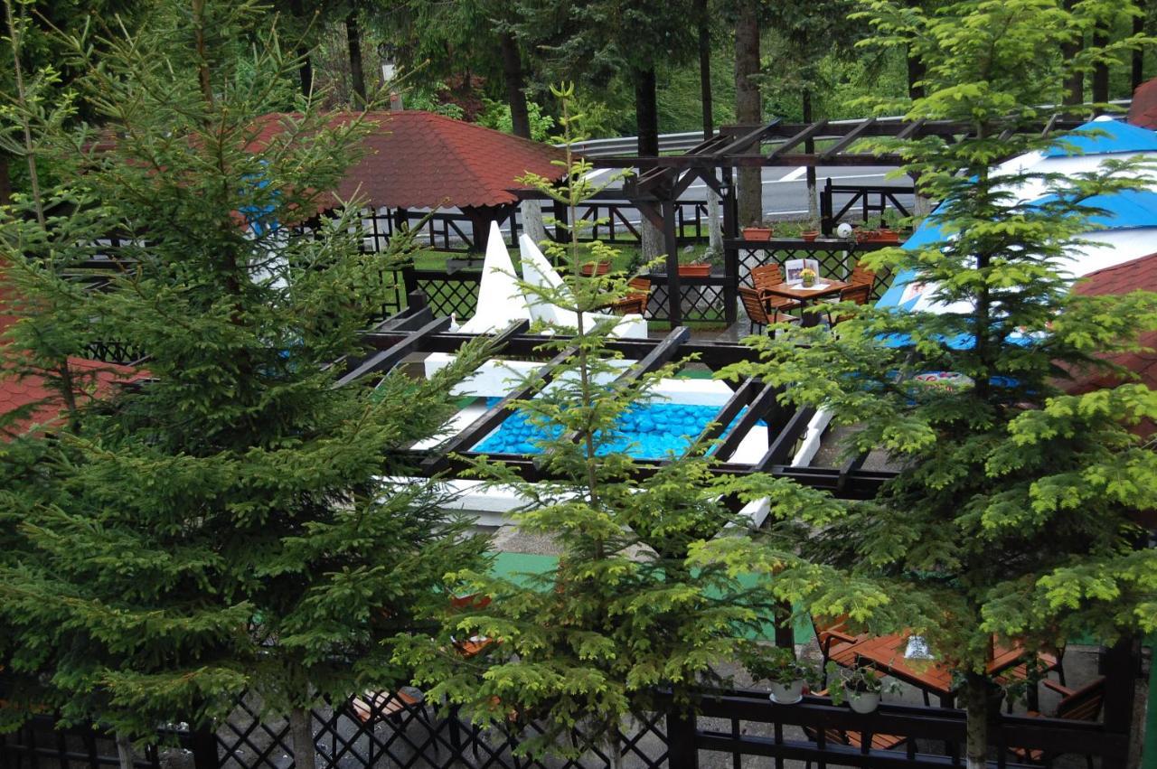 Hotel Bucegi Portile Regatului Пырыул-Рече Экстерьер фото